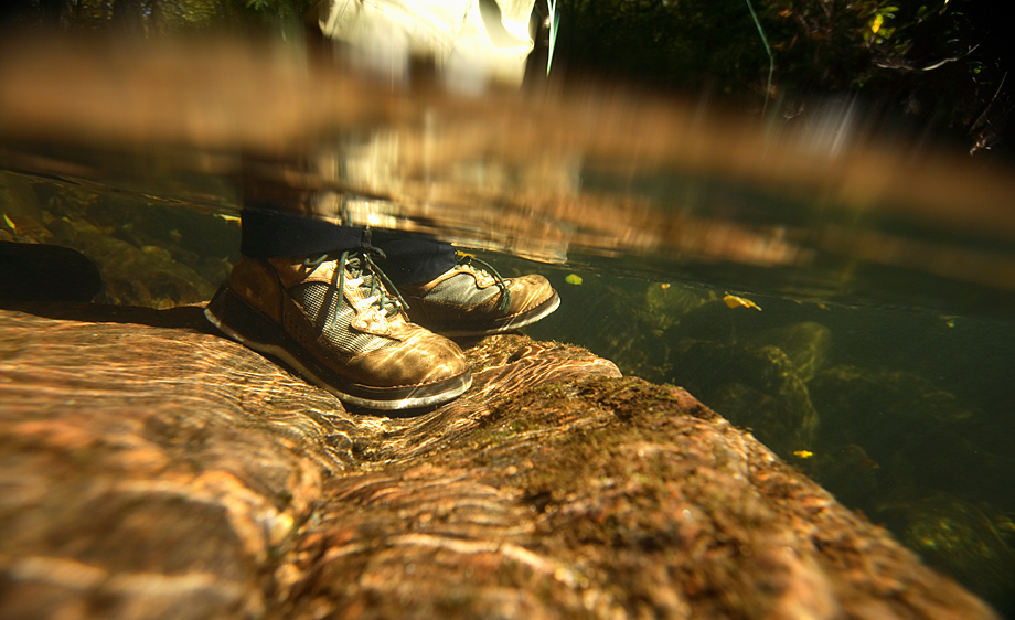 nc_fish0647